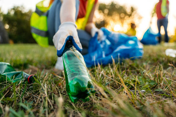 Best Yard Waste Removal  in Nellieburg, MS